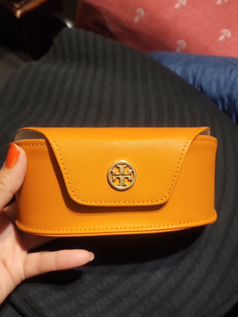 Sunglasses Case Used